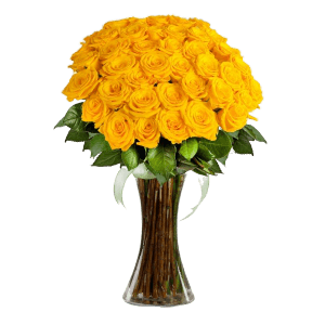Vazoda 41 Sarı Gül